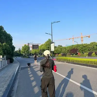 秦旭欣